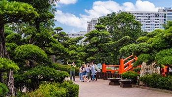 園內遍植松樹，枝繁葉茂，高矮相襯，修剪整齊，造型獨特，香港罕見。園內多處建有遊廊和涼亭，為遊人提供不同的觀景點。